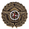 Premio por terminar la vuelta VLE en su versi�n Vuelta a Espa�a 2006 - 2006-01-22