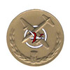 Premio por completar la vuelta: VLL en su versi�n: Inaugural - 2008-05-20